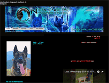 Tablet Screenshot of malinois.be